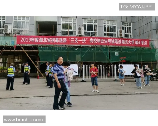 王丽专访揭秘排球成功背后的努力与坚持之道 王丽专访揭秘排球成功背后的努力与坚持之道