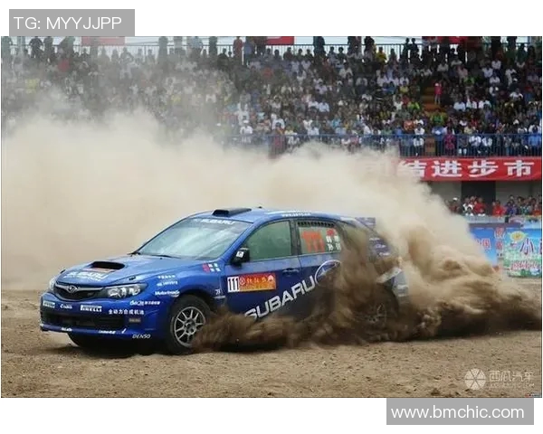 上海排球队耐力提升之路探讨与热议