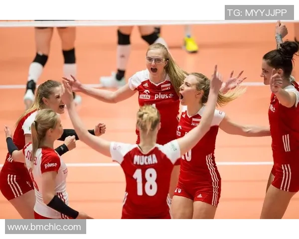 南京排球队在精英赛中的耐力表现分析与总结