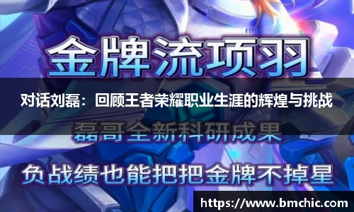 对话刘磊：回顾王者荣耀职业生涯的辉煌与挑战