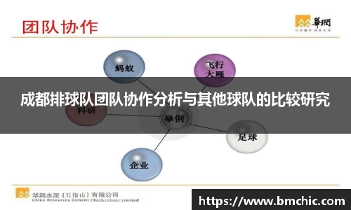 成都排球队团队协作分析与其他球队的比较研究