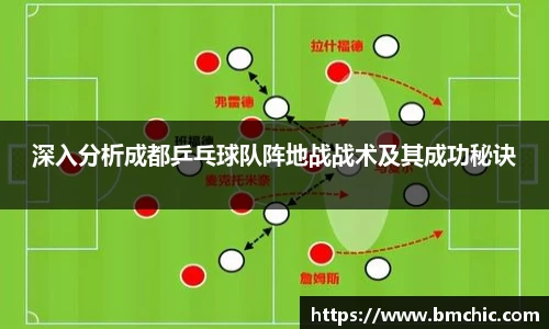 深入分析成都乒乓球队阵地战战术及其成功秘诀